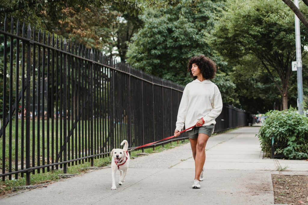 woman walking with dog - benefits of walking